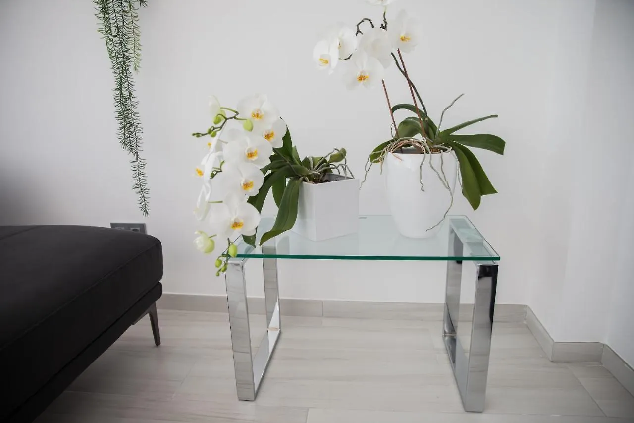 Spacious 200 Sq.M. Penthouse With Sea View Terraces Torremolinos Spain